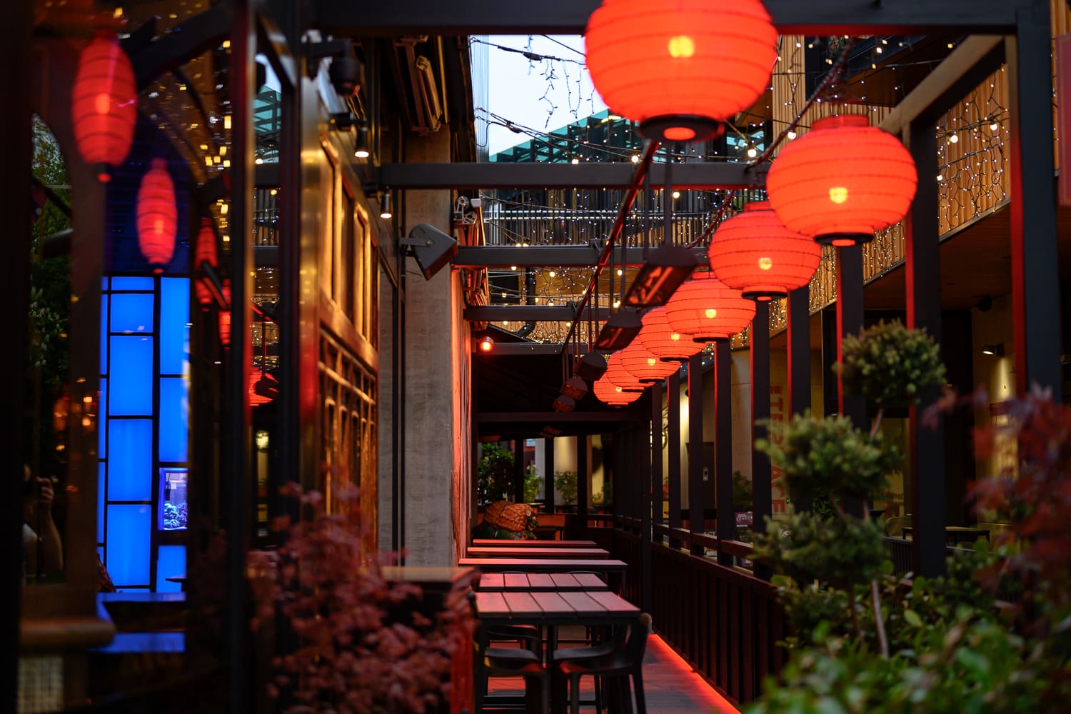 Lantern-lit terrace walkway at Zodiac